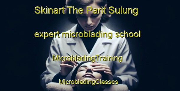 Skinart The Parit Sulung expert microblading school | MicrobladingTraining | MicrobladingClasses | SkinartTraining-Malaysia