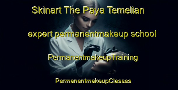 Skinart The Paya Temelian expert permanentmakeup school | #PermanentmakeupTraining #PermanentmakeupClasses #SkinartTraining-Malaysia