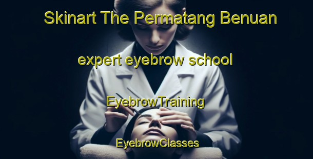 Skinart The Permatang Benuan expert eyebrow school | EyebrowTraining | EyebrowClasses | SkinartTraining-Malaysia