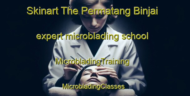 Skinart The Permatang Binjai expert microblading school | MicrobladingTraining | MicrobladingClasses | SkinartTraining-Malaysia