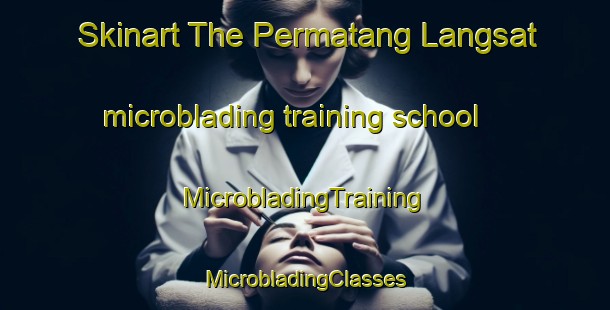 Skinart The Permatang Langsat microblading training school | #MicrobladingTraining #MicrobladingClasses #SkinartTraining-Malaysia