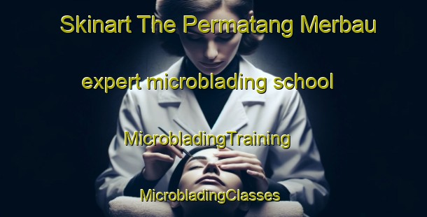 Skinart The Permatang Merbau expert microblading school | MicrobladingTraining | MicrobladingClasses | SkinartTraining-Malaysia