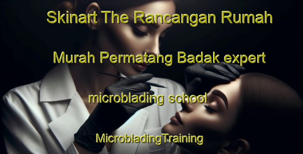 Skinart The Rancangan Rumah Murah Permatang Badak expert microblading school | #MicrobladingTraining #MicrobladingClasses #SkinartTraining-Malaysia