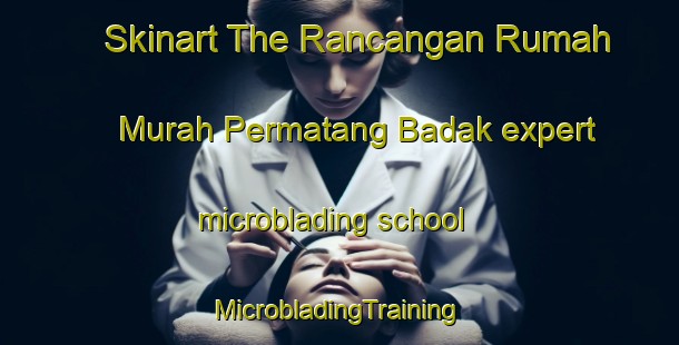 Skinart The Rancangan Rumah Murah Permatang Badak expert microblading school | #MicrobladingTraining #MicrobladingClasses #SkinartTraining-Malaysia