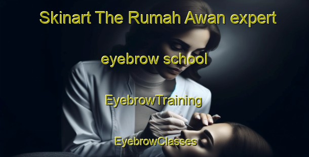 Skinart The Rumah Awan expert eyebrow school | EyebrowTraining | EyebrowClasses | SkinartTraining-Malaysia