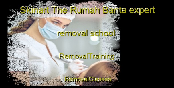 Skinart The Rumah Banta expert removal school | RemovalTraining | RemovalClasses | SkinartTraining-Malaysia