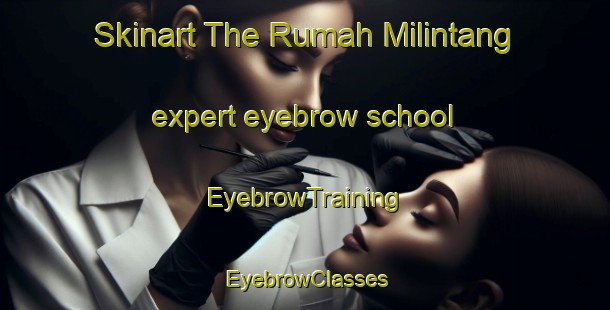 Skinart The Rumah Milintang expert eyebrow school | EyebrowTraining | EyebrowClasses | SkinartTraining-Malaysia