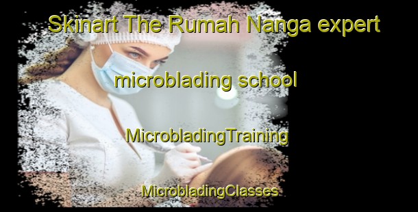 Skinart The Rumah Nanga expert microblading school | #MicrobladingTraining #MicrobladingClasses #SkinartTraining-Malaysia