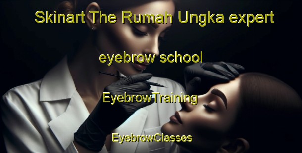 Skinart The Rumah Ungka expert eyebrow school | EyebrowTraining | EyebrowClasses | SkinartTraining-Malaysia