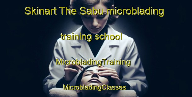 Skinart The Sabu microblading training school | MicrobladingTraining | MicrobladingClasses | SkinartTraining-Malaysia