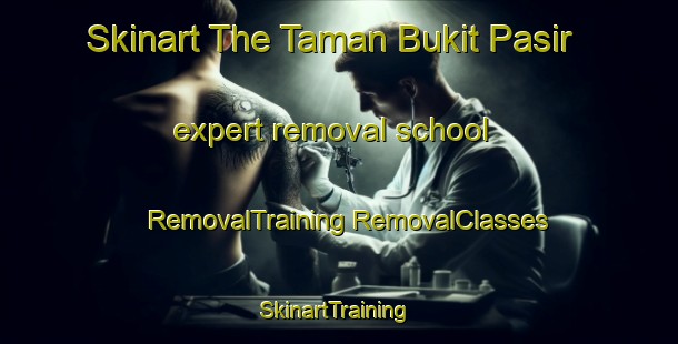 Skinart The Taman Bukit Pasir expert removal school | #RemovalTraining #RemovalClasses #SkinartTraining-Malaysia