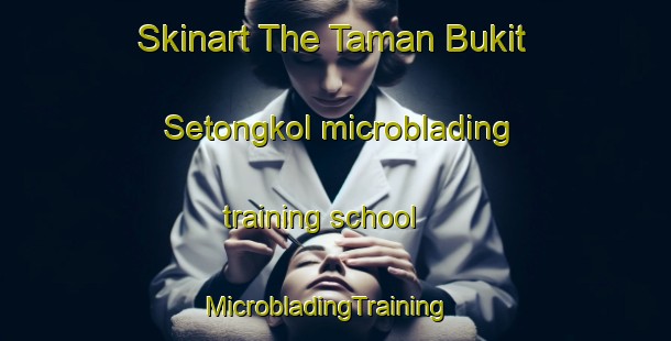 Skinart The Taman Bukit Setongkol microblading training school | MicrobladingTraining | MicrobladingClasses | SkinartTraining-Malaysia