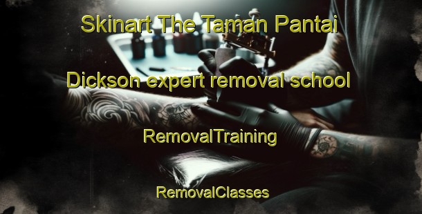 Skinart The Taman Pantai Dickson expert removal school | RemovalTraining | RemovalClasses | SkinartTraining-Malaysia