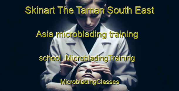 Skinart The Taman South East Asia microblading training school | #MicrobladingTraining #MicrobladingClasses #SkinartTraining-Malaysia