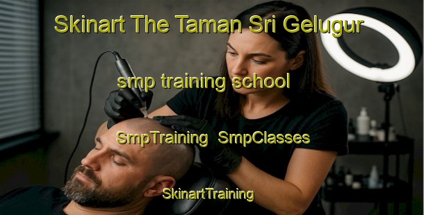 Skinart The Taman Sri Gelugur smp training school | SmpTraining | SmpClasses | SkinartTraining-Malaysia