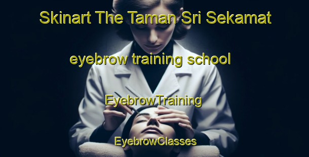 Skinart The Taman Sri Sekamat eyebrow training school | EyebrowTraining | EyebrowClasses | SkinartTraining-Malaysia