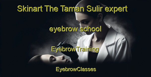 Skinart The Taman Sulir expert eyebrow school | EyebrowTraining | EyebrowClasses | SkinartTraining-Malaysia