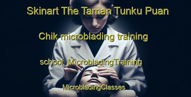Skinart The Taman Tunku Puan Chik microblading training school | MicrobladingTraining | MicrobladingClasses | SkinartTraining-Malaysia