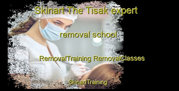 Skinart The Tisak expert removal school | #RemovalTraining #RemovalClasses #SkinartTraining-Malaysia