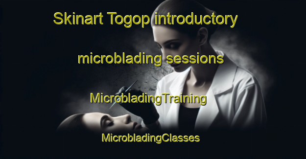Skinart Togop introductory microblading sessions | MicrobladingTraining | MicrobladingClasses | SkinartTraining-Malaysia