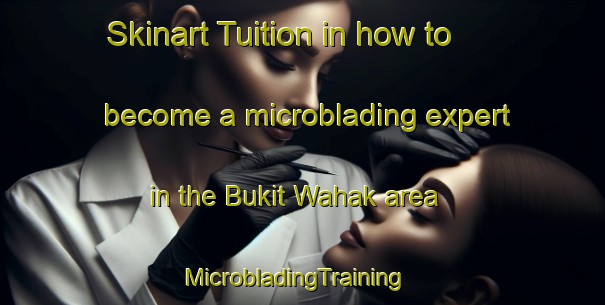 Skinart Tuition in how to become a microblading expert in the Bukit Wahak area | MicrobladingTraining | MicrobladingClasses | SkinartTraining-Malaysia