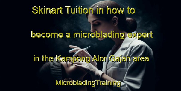 Skinart Tuition in how to become a microblading expert in the Kampong Alor Gajah area | MicrobladingTraining | MicrobladingClasses | SkinartTraining-Malaysia