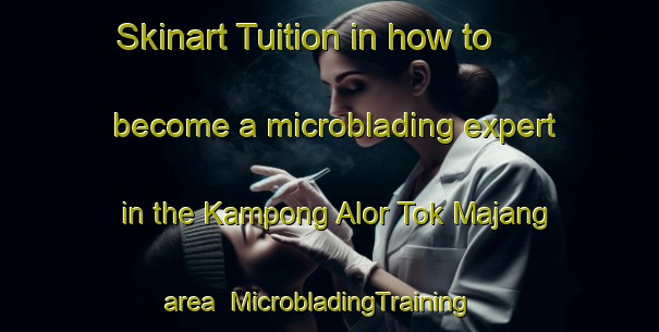 Skinart Tuition in how to become a microblading expert in the Kampong Alor Tok Majang area | MicrobladingTraining | MicrobladingClasses | SkinartTraining-Malaysia