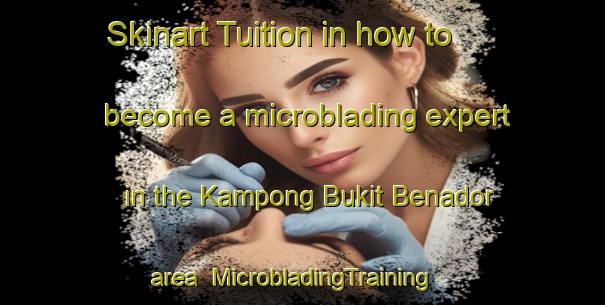 Skinart Tuition in how to become a microblading expert in the Kampong Bukit Benador area | MicrobladingTraining | MicrobladingClasses | SkinartTraining-Malaysia