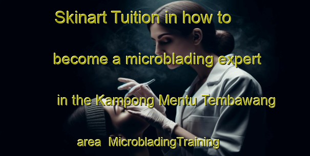 Skinart Tuition in how to become a microblading expert in the Kampong Mentu Tembawang area | MicrobladingTraining | MicrobladingClasses | SkinartTraining-Malaysia
