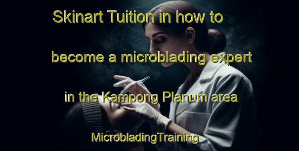 Skinart Tuition in how to become a microblading expert in the Kampong Planum area | MicrobladingTraining | MicrobladingClasses | SkinartTraining-Malaysia