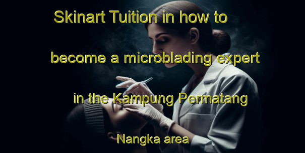Skinart Tuition in how to become a microblading expert in the Kampung Permatang Nangka area | MicrobladingTraining | MicrobladingClasses | SkinartTraining-Malaysia