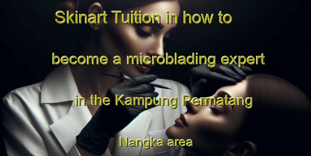 Skinart Tuition in how to become a microblading expert in the Kampung Permatang Nangka area | MicrobladingTraining | MicrobladingClasses | SkinartTraining-Malaysia