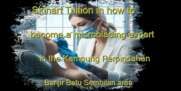 Skinart Tuition in how to become a microblading expert in the Kampung Perpindahan Banjir Batu Sembilan area | MicrobladingTraining | MicrobladingClasses | SkinartTraining-Malaysia