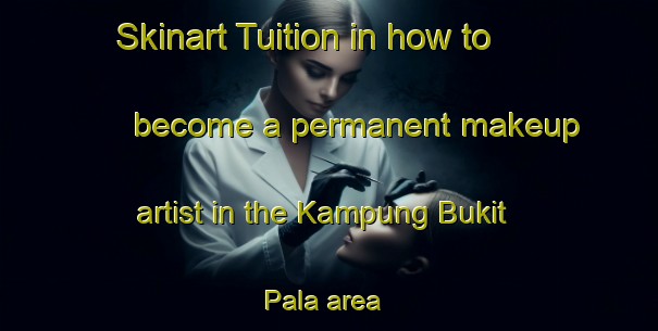 Skinart Tuition in how to become a permanent makeup artist in the Kampung Bukit Pala area | PermanentmakeupTraining | PermanentmakeupClasses | SkinartTraining-Malaysia