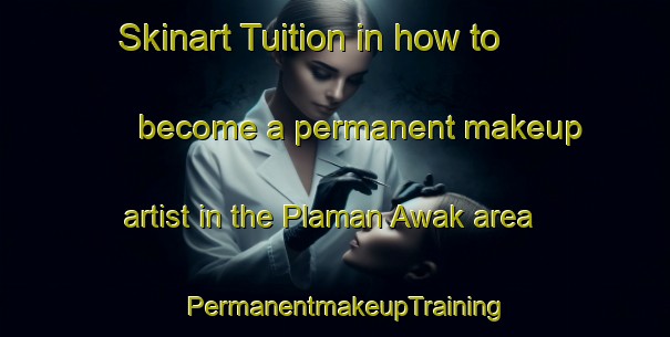 Skinart Tuition in how to become a permanent makeup artist in the Plaman Awak area | PermanentmakeupTraining | PermanentmakeupClasses | SkinartTraining-Malaysia