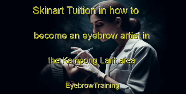 Skinart Tuition in how to become an eyebrow artist in the Kampong Larit area | EyebrowTraining | EyebrowClasses | SkinartTraining-Malaysia