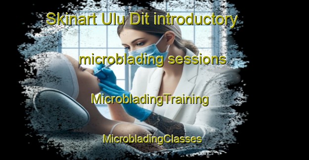 Skinart Ulu Dit introductory microblading sessions | MicrobladingTraining | MicrobladingClasses | SkinartTraining-Malaysia