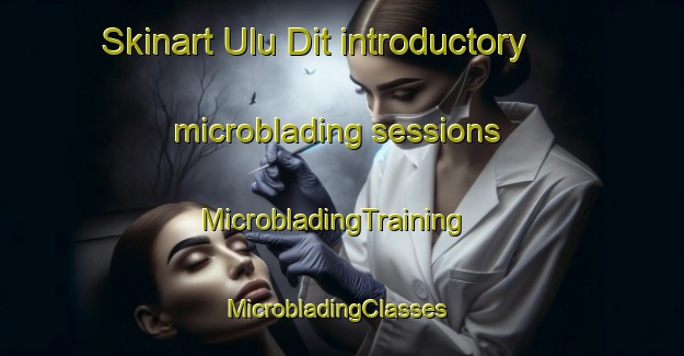 Skinart Ulu Dit introductory microblading sessions | MicrobladingTraining | MicrobladingClasses | SkinartTraining-Malaysia