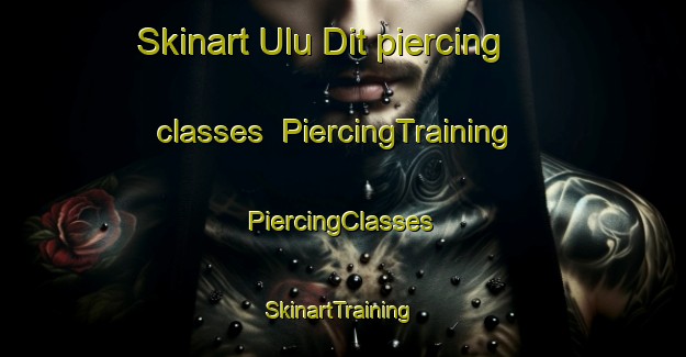 Skinart Ulu Dit piercing classes | #PiercingTraining #PiercingClasses #SkinartTraining-Malaysia