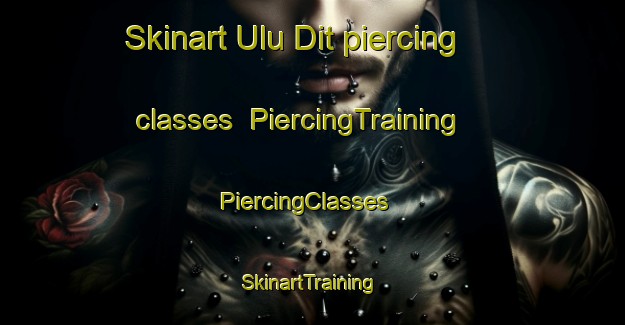 Skinart Ulu Dit piercing classes | PiercingTraining | PiercingClasses | SkinartTraining-Malaysia