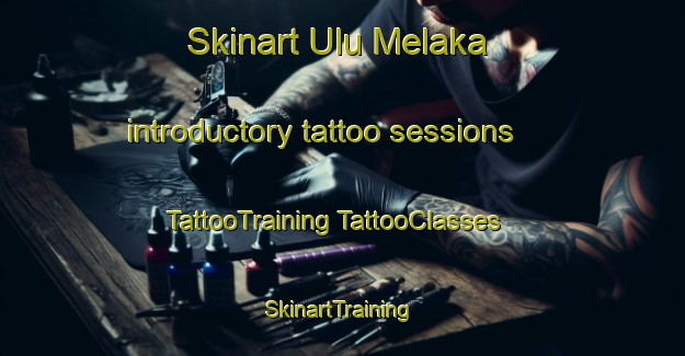 Skinart Ulu Melaka introductory tattoo sessions | #TattooTraining #TattooClasses #SkinartTraining-Malaysia