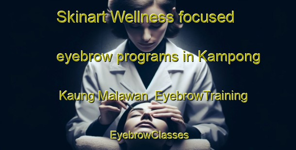 Skinart Wellness-focused eyebrow programs in Kampong Kaung Malawan | EyebrowTraining | EyebrowClasses | SkinartTraining-Malaysia