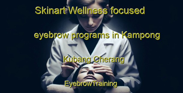 Skinart Wellness-focused eyebrow programs in Kampong Kubang Cherang | EyebrowTraining | EyebrowClasses | SkinartTraining-Malaysia