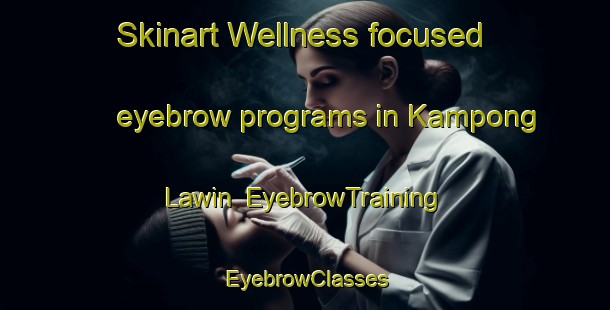 Skinart Wellness-focused eyebrow programs in Kampong Lawin | EyebrowTraining | EyebrowClasses | SkinartTraining-Malaysia