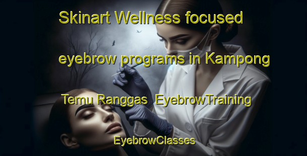 Skinart Wellness-focused eyebrow programs in Kampong Temu Ranggas | EyebrowTraining | EyebrowClasses | SkinartTraining-Malaysia