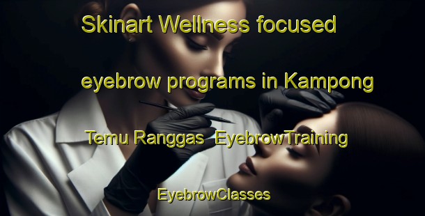 Skinart Wellness-focused eyebrow programs in Kampong Temu Ranggas | EyebrowTraining | EyebrowClasses | SkinartTraining-Malaysia