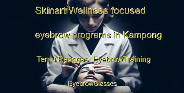 Skinart Wellness-focused eyebrow programs in Kampong Temu Ranggas | EyebrowTraining | EyebrowClasses | SkinartTraining-Malaysia