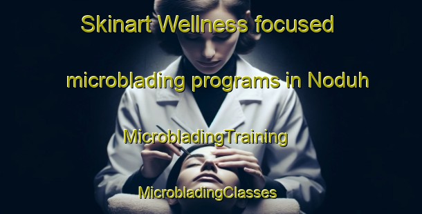 Skinart Wellness-focused microblading programs in Noduh | MicrobladingTraining | MicrobladingClasses | SkinartTraining-Malaysia
