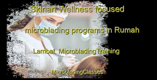 Skinart Wellness-focused microblading programs in Rumah Lambat | MicrobladingTraining | MicrobladingClasses | SkinartTraining-Malaysia