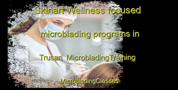 Skinart Wellness-focused microblading programs in Trusan | #MicrobladingTraining #MicrobladingClasses #SkinartTraining-Malaysia